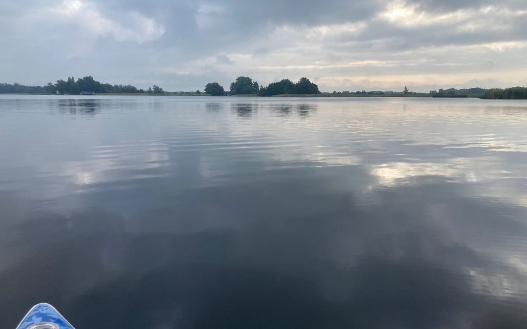 Plomp en pijlkruid